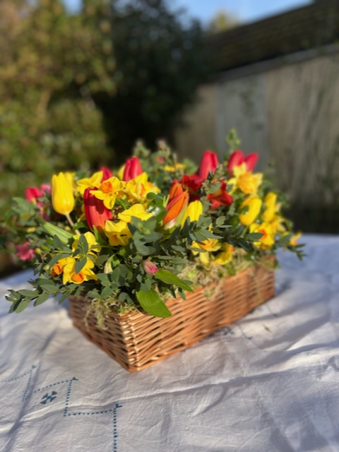 A basket of tulips and foliage sit atop a white cloth covered table, demonstrating seasonal flowers for for table decorations and bouquets courtest of my Supplier Chum Susie from Wivenhoe Flowers.