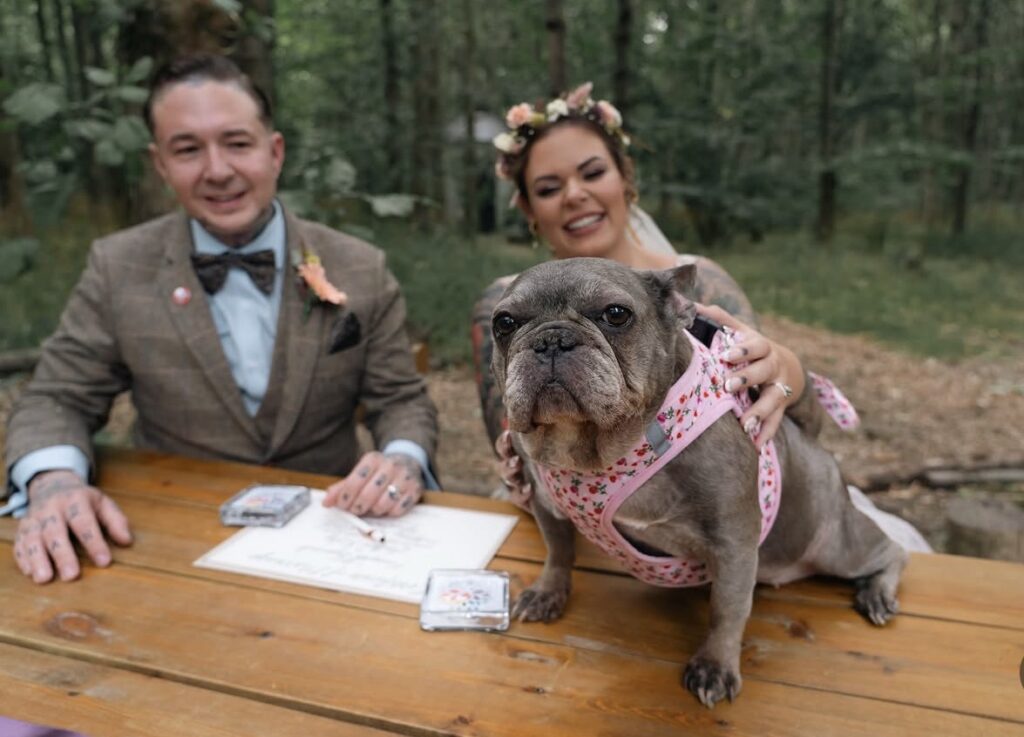 French bulldog Skye looks into the camera from atop a table where the bride and groom sign their certificate of marriage 
